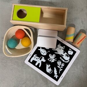 Wooden Montessori Toy Set with Colorful Balls